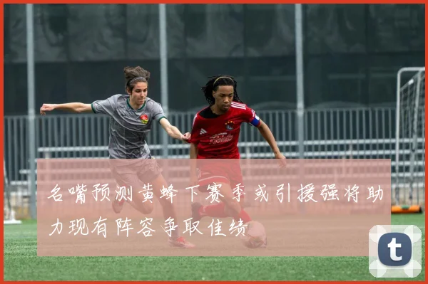 名嘴预测黄蜂下赛季或引援强将助力现有阵容争取佳绩