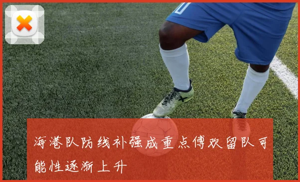 海港队防线补强成重点傅欢留队可能性逐渐上升
