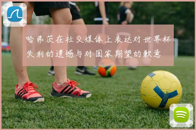 哈弗茨在社交媒体上表达对世界杯失利的遗憾与对国家期望的歉意